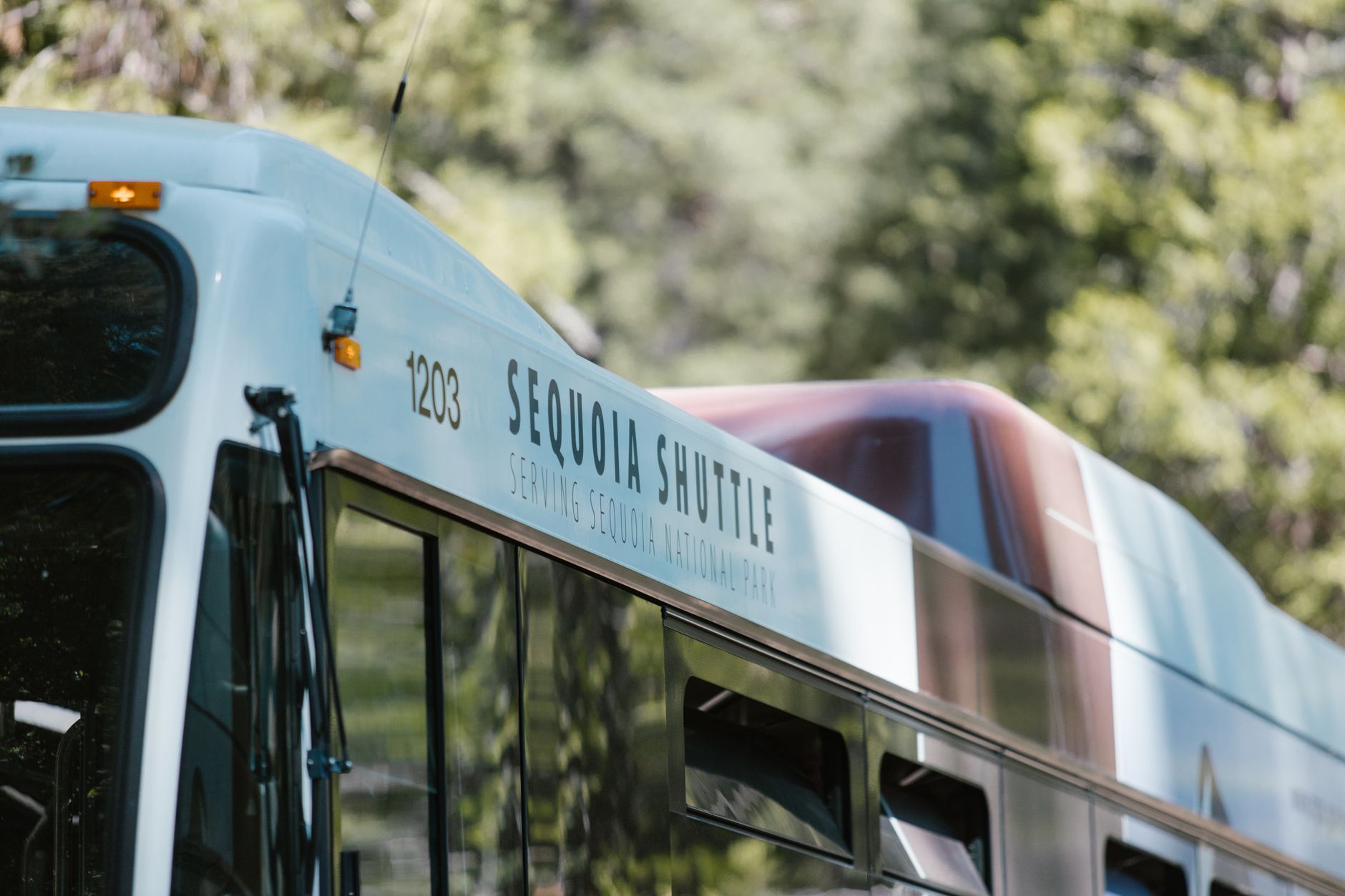 Last Call Is Set by the Shuttle, Not the Clock: Building a Summit County Wedding Bar Timeline Around Guest Transportation